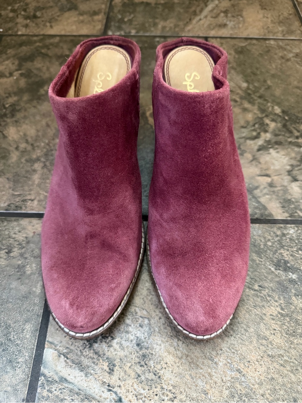 Splendid Women's plum Suede Mule Booties